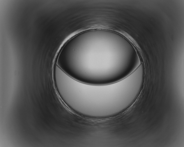 X0000085081246200703051102