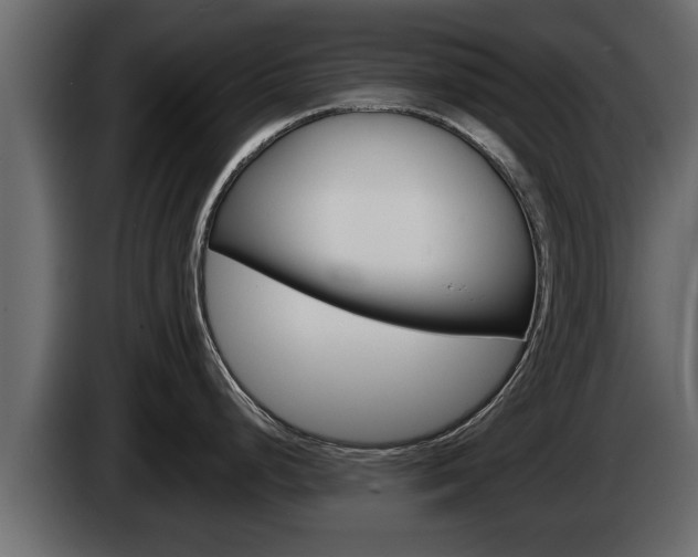 X0000085081248200703051102