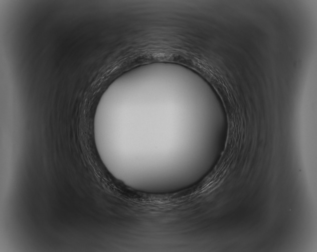 X0000085081249200703051102