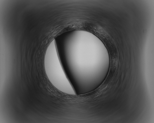 X0000085081250200703051101