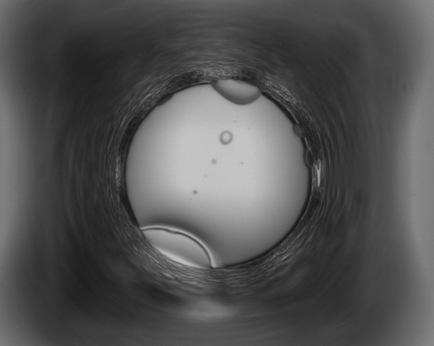 X0000085081251200703051101
