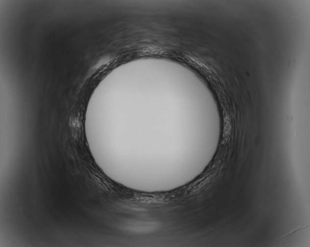 X0000085081254200703051101