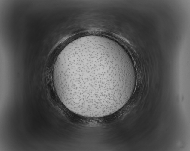 X0000085081255200703051101