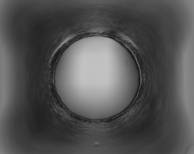 X0000085081256200703051101