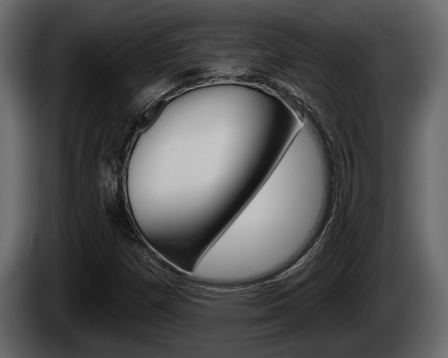 X0000085081257200703051101