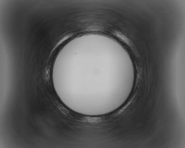 X0000085081258200703051101
