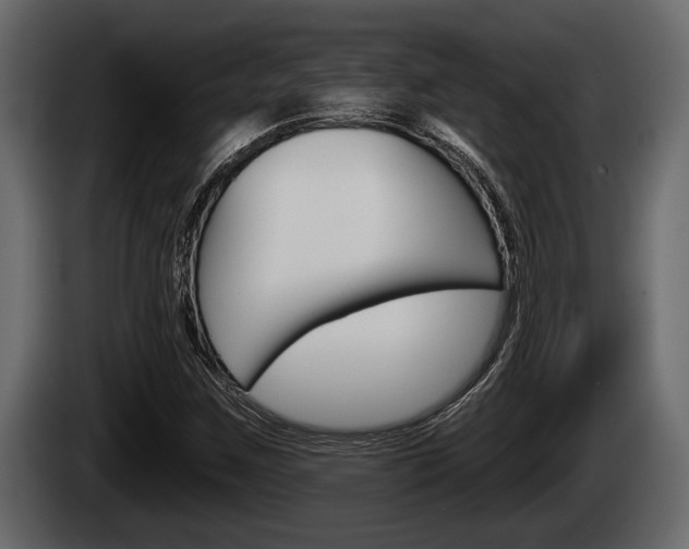 X0000085081259200703051101