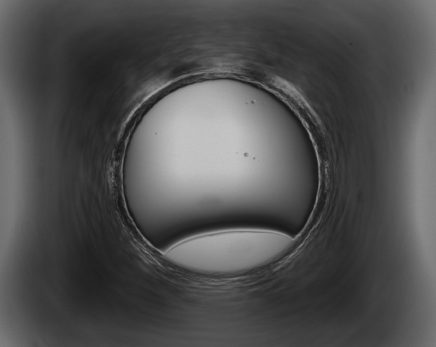 X0000085081260200703051101