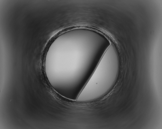 X0000085081264200703051101