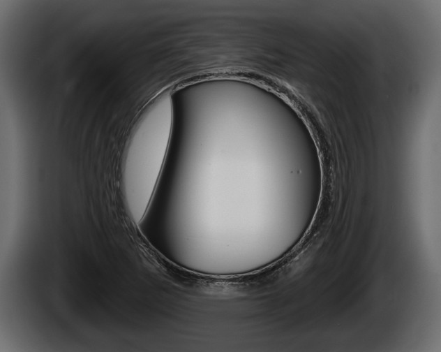 X0000085081265200703051101