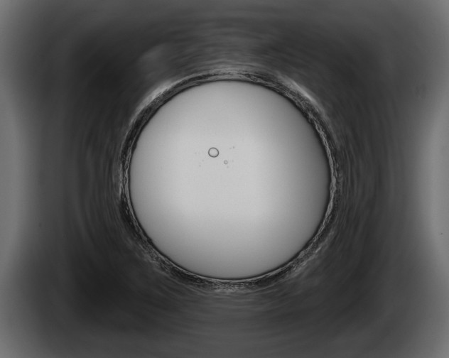 X0000085081267200703051101