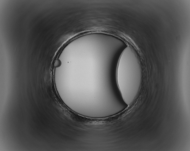 X0000085081268200703051101