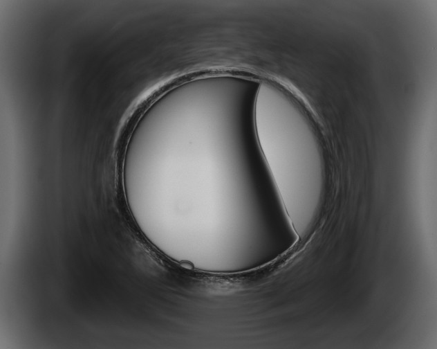X0000085081270200703051101
