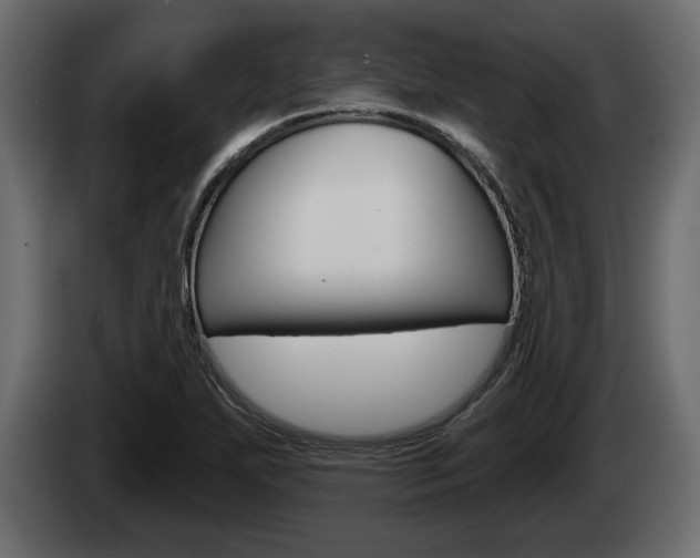 X0000085081271200703051101