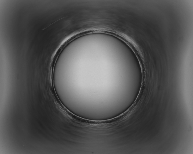 X0000085081272200703051101