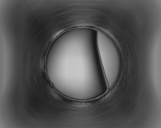 X0000085081273200703051101