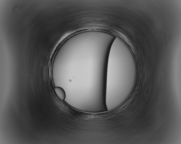 X0000085081275200703051101
