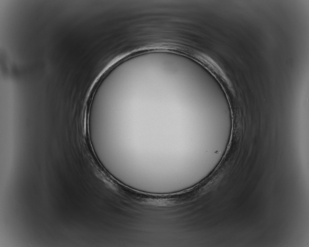 X0000085081276200703051101