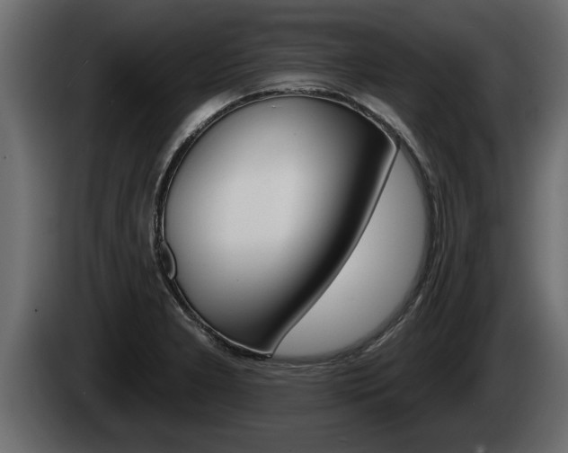 X0000085081277200703051101