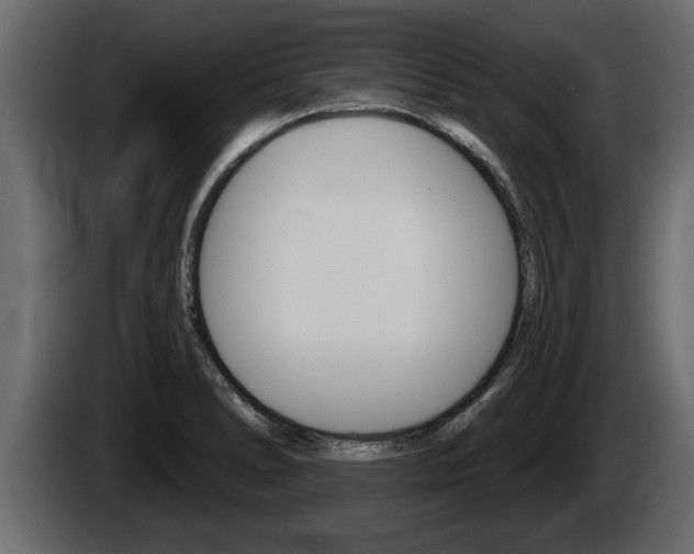 X0000085081278200703051101