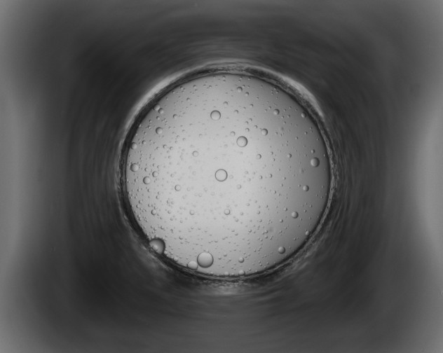 X0000085081279200703051101