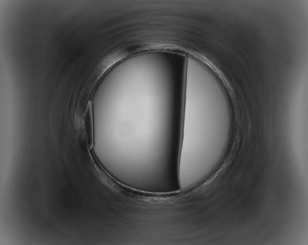X0000085081281200703051101