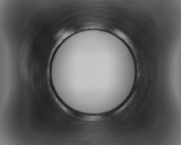 X0000085081282200703051101
