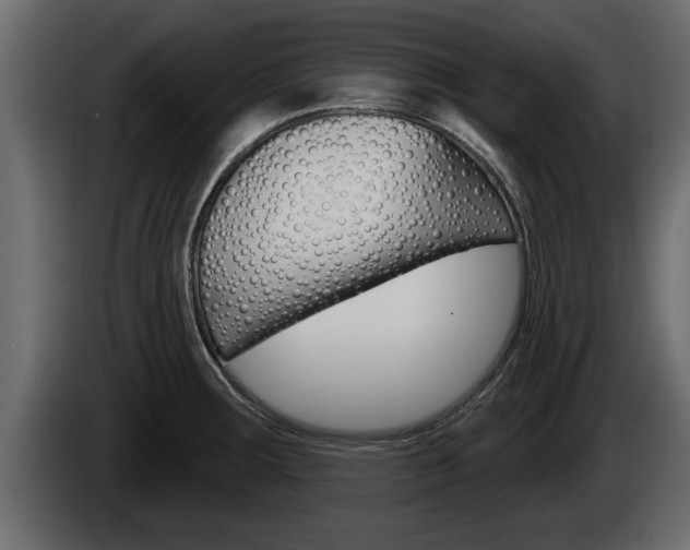 X0000085081283200703051101