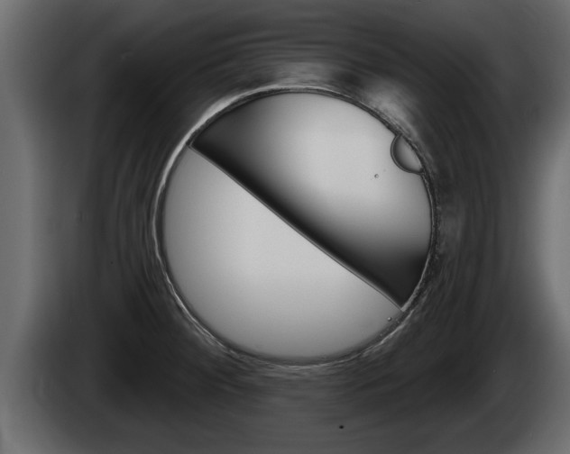 X0000085081284200703051101