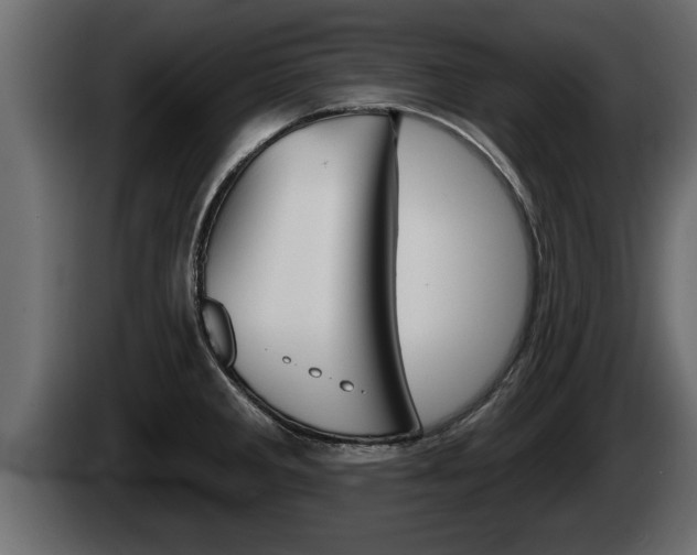 X0000085081285200703051101