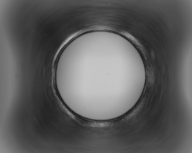 X0000085081286200703051101