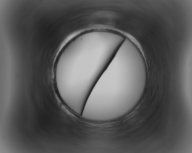 X0000085081287200703051101