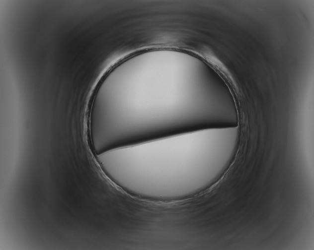 X0000085081288200703051101