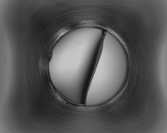 X0000085081289200703051101
