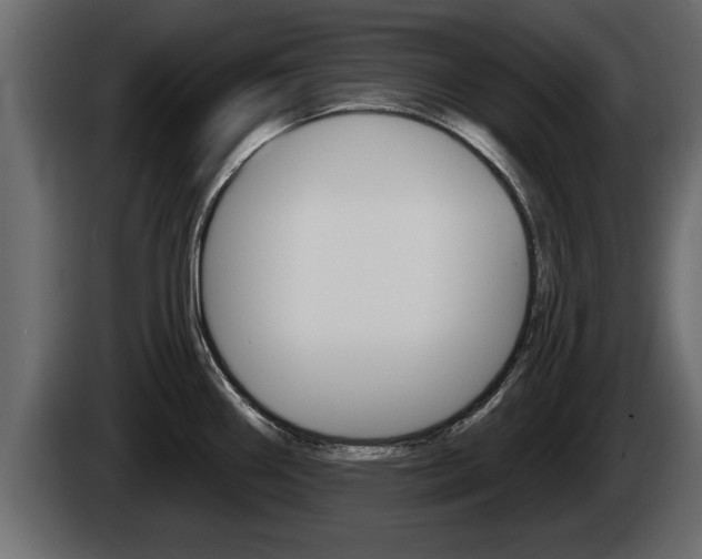X0000085081290200703051101