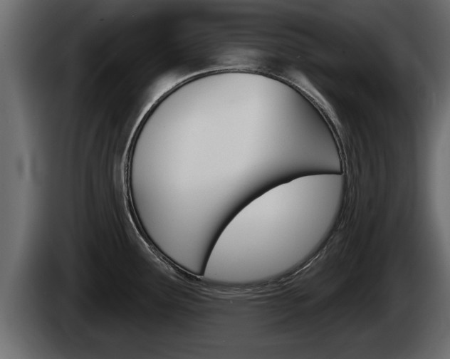 X0000085081291200703051101