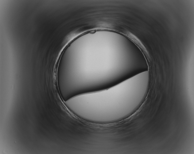 X0000085081292200703051101