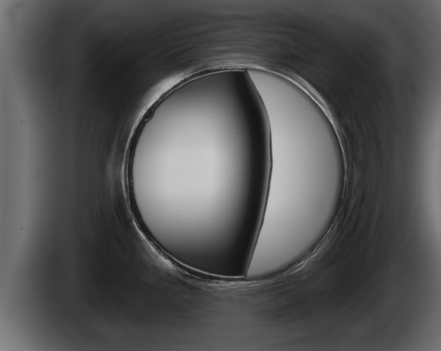 X0000085081293200703051101