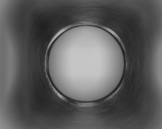 X0000085081294200703051101