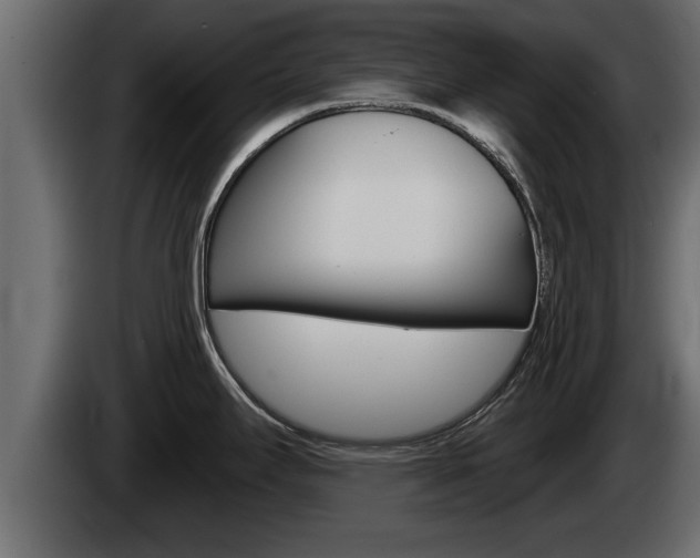 X0000085081295200703051101