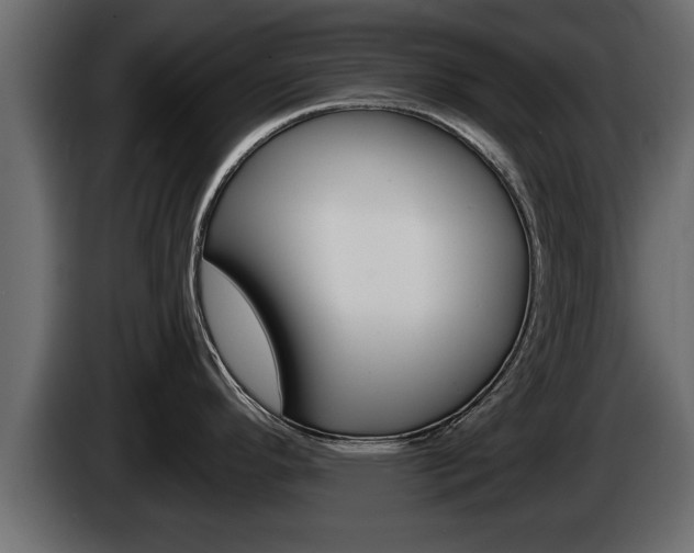 X0000085081296200703051101