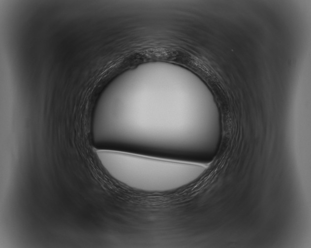 X0000085081297200703051100