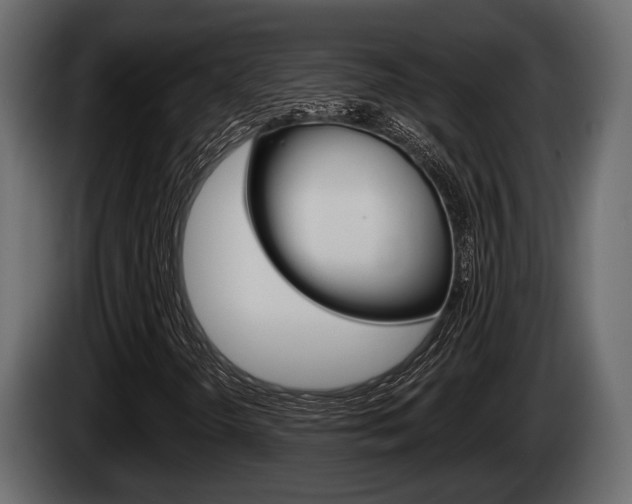 X0000085081298200703051100
