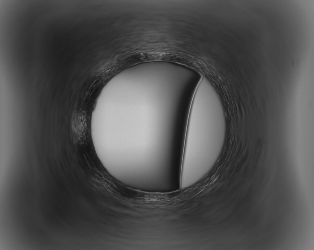 X0000085081299200703051100