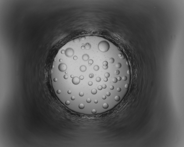 X0000085081302200703051100