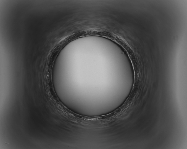 X0000085081303200703051100
