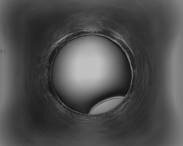 X0000085081304200703051100