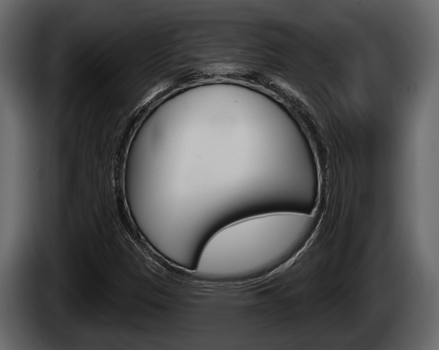 X0000085081305200703051100