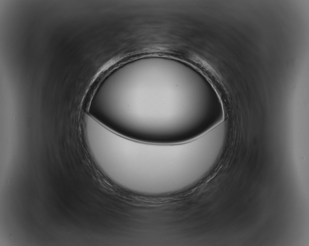 X0000085081308200703051100