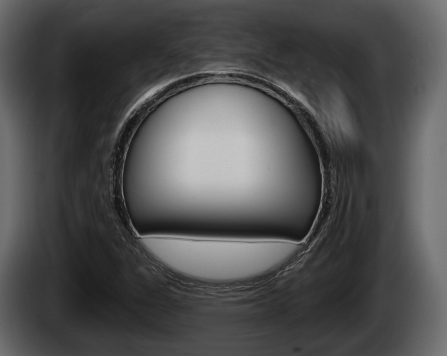 X0000085081311200703051101